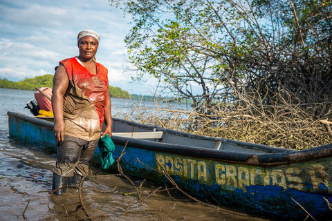 “El manglar produce nuestra comida, es nuestra vida”  