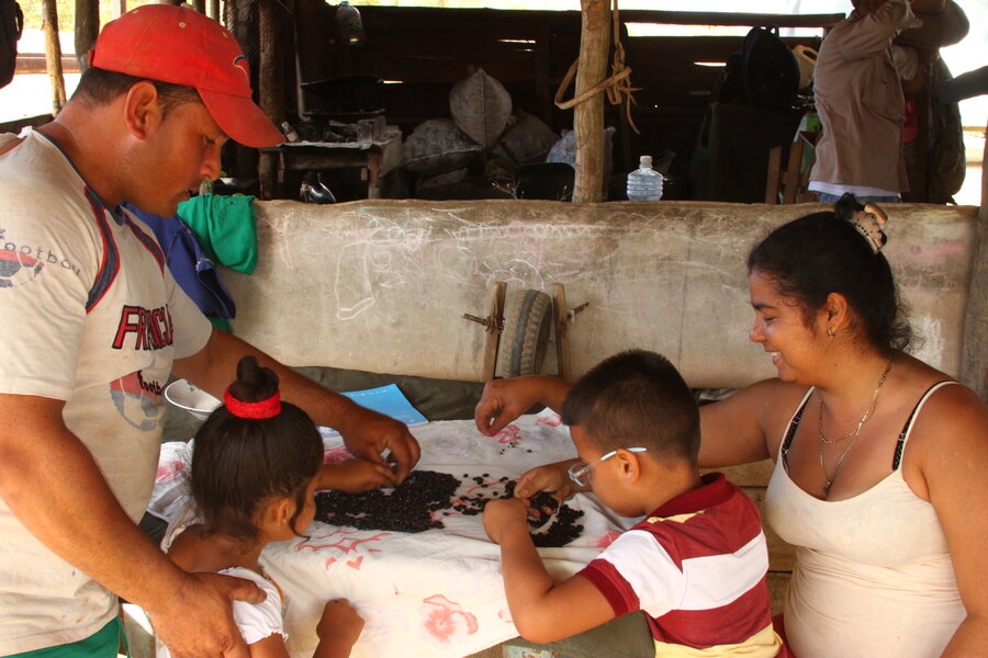 Un hombre con gorra roja su hija, su hijo (al centro ambos) y su esposa (a la derecha de la foto) revisan un puñado de frijoles negros recién cosechaddos. Los niños y la mujer están sentados mientras que el hombre (a la izquierda) está de pie. 